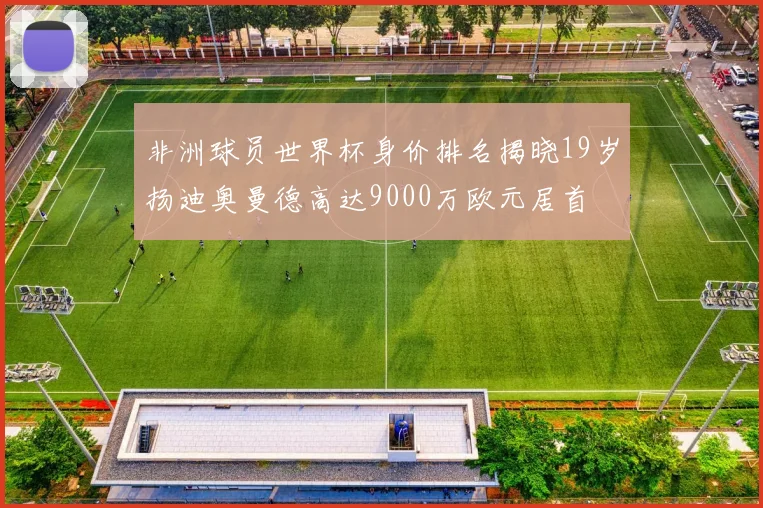 非洲球员世界杯身价排名揭晓19岁扬迪奥曼德高达9000万欧元居首